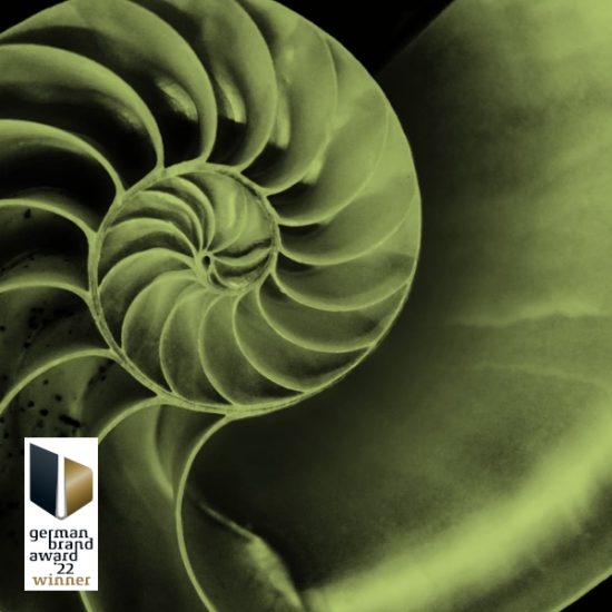 BRAINARTIST: Eine von sportgreens Inspirationen – eine Nautilus-Schale, die für den Kreislauf der Natur steht. Das Thumbnail für unseren sportgreen-Beweis